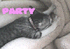 Party soft