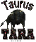 Taurus Tara