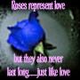 Love and Roses Don't Last