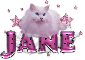 Jane-pink dots cat
