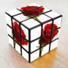 Rose Rubix cube