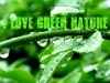 i love green nature
