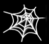 â¤  Spider Web White â¤