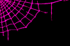 â¤ Spider Web Pink â¤