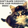 "Curiosity Killed the cat"