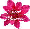 Pink flower with Good Morning