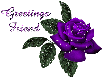 Glittering purple rose 