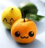 lol oranges and lemons >> cute stuff