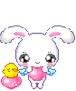 Kawaii bunny and chick