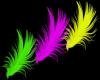 Neon Feathers
