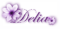 Purple flower - Delia
