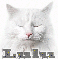 Cat-Lulu