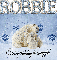Polar Bears-Robbie