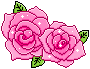 Pretty Pink Roses.
