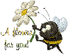 Honey bee with a flower