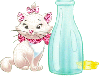Kitten with milk bottle