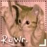 Rawrr Kitty!!