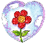 Red Flower Heart