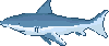 Shark.