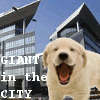 Giant â˜† in the City Â§