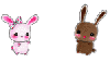 Bunny and i