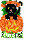 Black cat in Pumpkin - Andrea