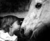 Little Girl With Horse