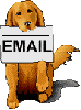Dog With email