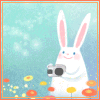 Bunny with a Camera