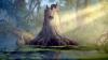 Princess and the frog background