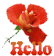 Hello Rose
