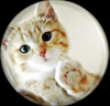 cute kitty button