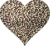 Leopard heart