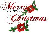 Merry Christmas -Poinsettia