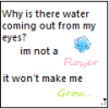 I'm not a flower,