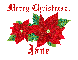 Christmas Poinsettias - Jane