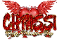 Chrissi-Valentine Roses