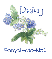 Forget-Me-Not - Daisy