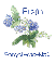 Forget-Me-Not - Fran