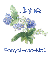 Forget-Me-Not - Jane