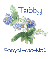 Forget-Me-Not - Tabby