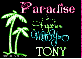 tony- paradise