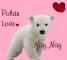 Polar Love - Nay Nay