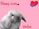 Bunny Love - Helen