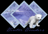 Winter Wonders Polar Bear