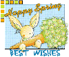 Best Wishes Rabbit