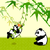 panda swing