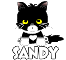 Black Sandy Kitty