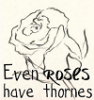 Even Roses Have Thornes