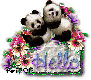 Panda - Hello